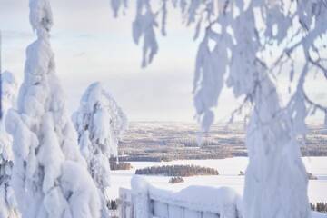 Фото номера Вилла с 4 спальнями и сауной (для 8 взрослых) Курортные отели Tahko Golden Resort г. Тахковуори 34