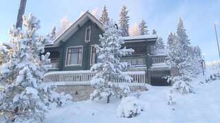 Фото Гостевой дом Tahkonhovi Golden Chalet г. Тахковуори